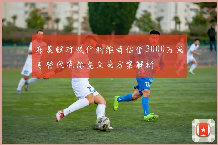 布莱顿对武什科维奇估值3000万或可替代范赫克交易方案解析